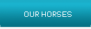 Our horses