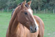 Cliquer pour agrandir ATOUT COEUR d'YVILLE