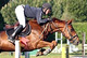 Cliquer pour agrandir Pharos du Loup - photo 1