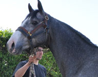 CABRERO