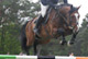 Heros de Papignies Z - photo 6