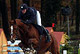 O'Z du Moulin - photo 1