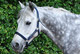 Ozurne Chartrain - photo 2