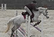 Ozurne Chartrain - photo 5
