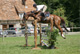 Cliquer pour agrandir Pharos du Loup - photo 3