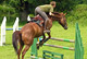 Cliquer pour agrandir Pharos du Loup - photo 3