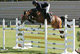 Quality d’Hammer - photo 1