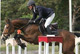 Quality d’Hammer - photo 1