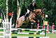 Pharos du Loup - photo 1