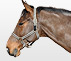 Cheval à vendre